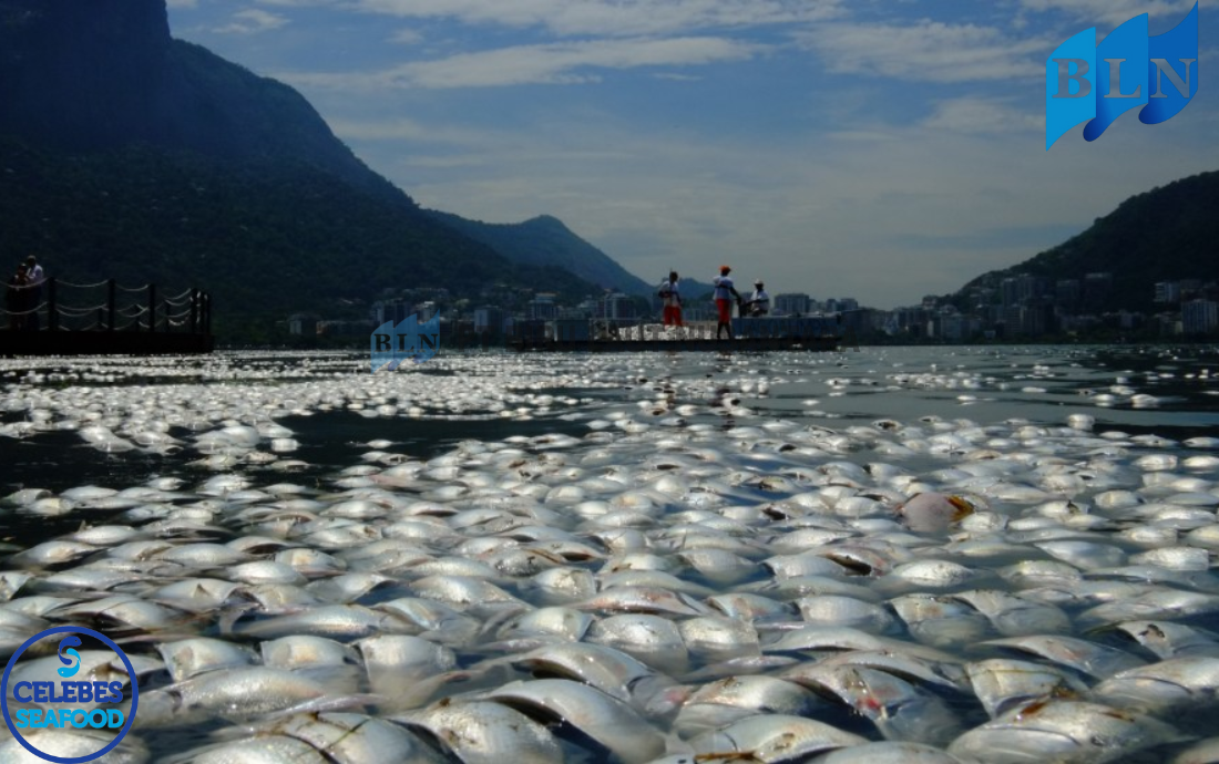 Climate Change and Its Impact on Marine Fisheries